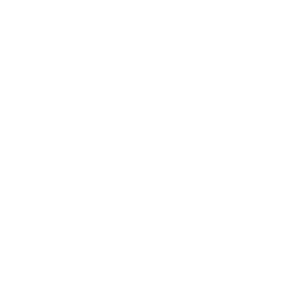 main-logo-white-transparent